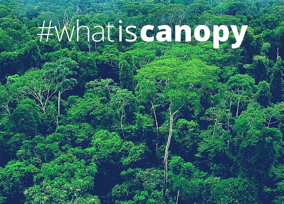 Hello, World. Noi suntem Canopy!