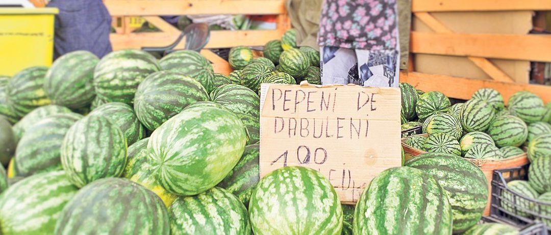 Cum faci pepenii de Dăbuleni vedete online printr-o reclamă Google Ads