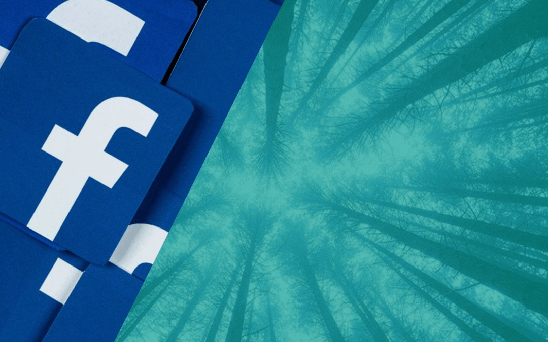 Automatizări Facebook pentru Black Friday și campaniile de sărbători