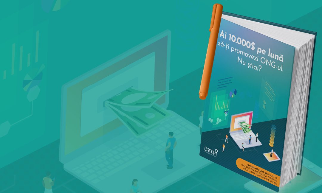 Ghid gratuit: Cum accesezi 10.000$/lună pentru a promova un ONG.