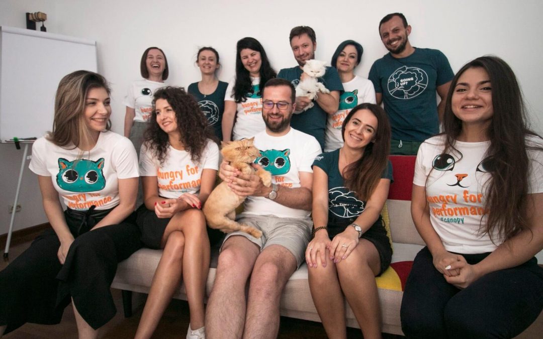 Job la înălțime: Assistant Manager Canopyst