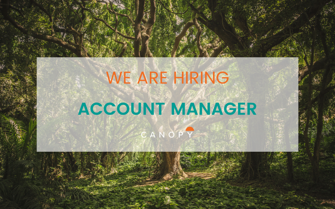 Job la înălțime: Account Manager